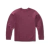 Etnies Icon Sweatshirt In Red